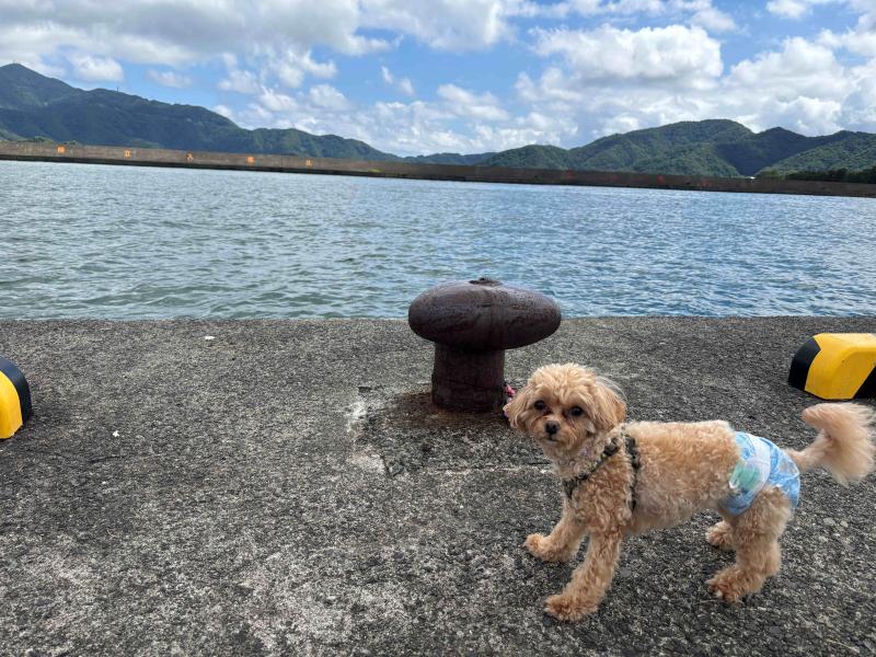 そうだ福井に行こう‼